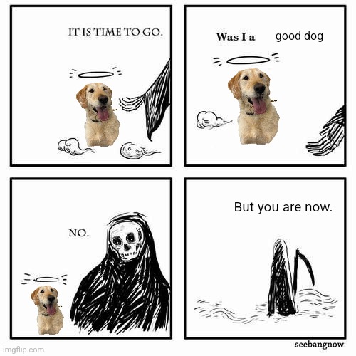 It is time to go | good dog; But you are now. | image tagged in it is time to go | made w/ Imgflip meme maker