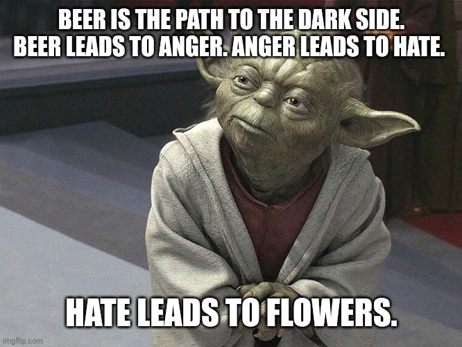 Beer leads to flowers | BEER IS THE PATH TO THE DARK SIDE. BEER LEADS TO ANGER. ANGER LEADS TO HATE. HATE LEADS TO FLOWERS. | image tagged in fear leads to anger anger leads to hate hate leads to sufferin,beer,star wars yoda,flowers | made w/ Imgflip meme maker
