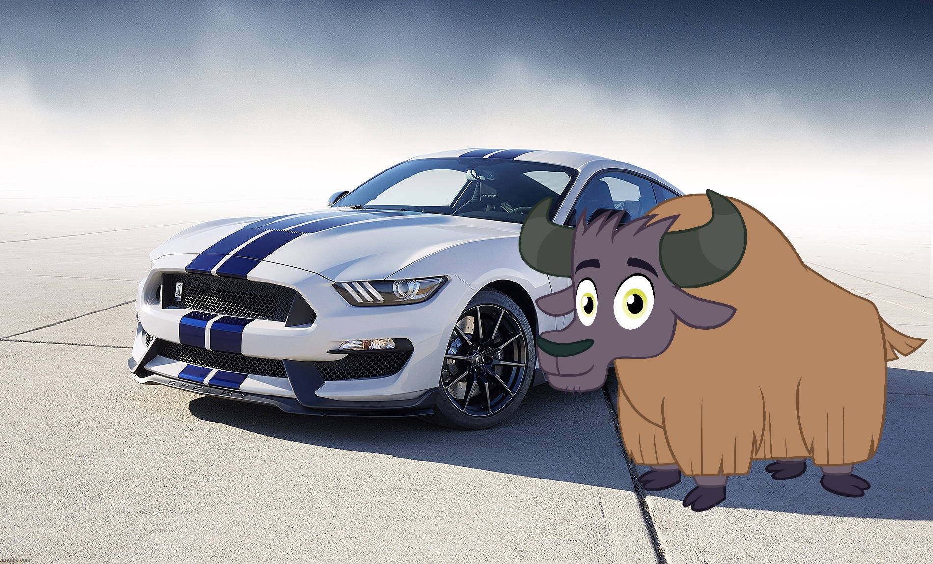 2015 Ford Mustang GT350 | image tagged in 2015 ford mustang gt350 | made w/ Imgflip meme maker