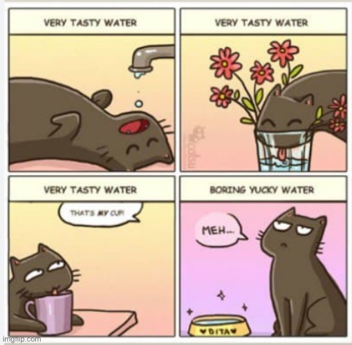 Anything but your actual water bowl tastes delicious… | made w/ Imgflip meme maker