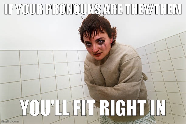 Are they/them in the room with us now? | IF YOUR PRONOUNS ARE THEY/THEM; YOU'LL FIT RIGHT IN | image tagged in memes | made w/ Imgflip meme maker