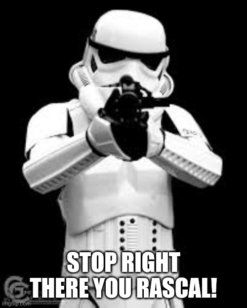 Stormtrooper shooting | STOP RIGHT THERE YOU RASCAL! | image tagged in stormtrooper shooting | made w/ Imgflip meme maker