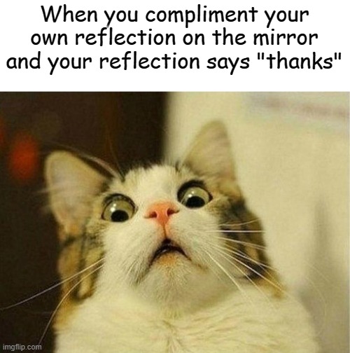 RUN | When you compliment your own reflection on the mirror and your reflection says "thanks" | image tagged in memes,scared cat,scary,crazy | made w/ Imgflip meme maker
