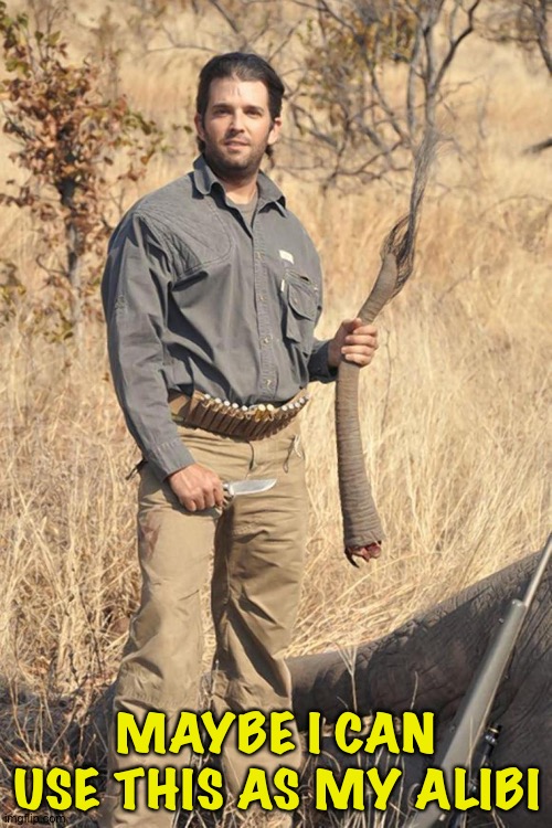 "I was hunting baby elephants at the time!" | MAYBE I CAN USE THIS AS MY ALIBI | image tagged in donald trump jr | made w/ Imgflip meme maker