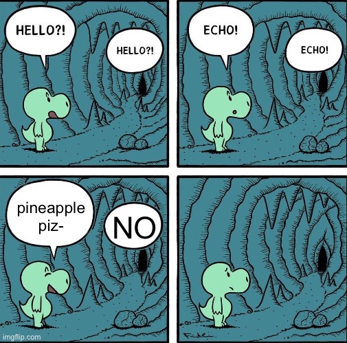 I hate pineapple on pizza | pineapple piz-; NO | image tagged in echo,bruh moment,no | made w/ Imgflip meme maker