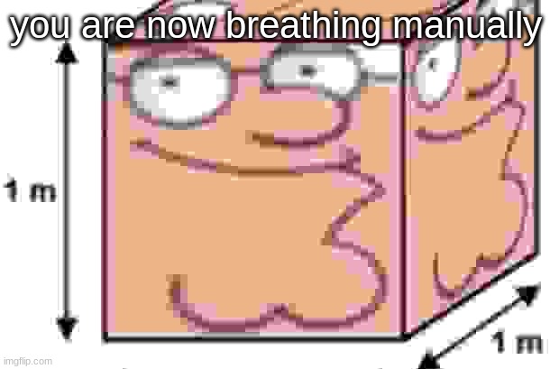 you are now breathing manually | image tagged in meter griffin | made w/ Imgflip meme maker