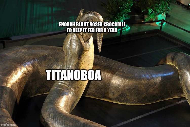 Titanoboa could go a year without eating just by eating blunt nosed crocodiles | ENOUGH BLUNT NOSED CROCODILE TO KEEP IT FED FOR A YEAR; TITANOBOA | image tagged in titanoboa eating crocodile | made w/ Imgflip meme maker