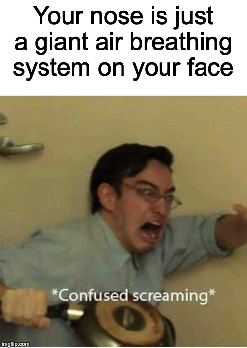 ? | Your nose is just a giant air breathing system on your face | image tagged in confused screaming | made w/ Imgflip meme maker