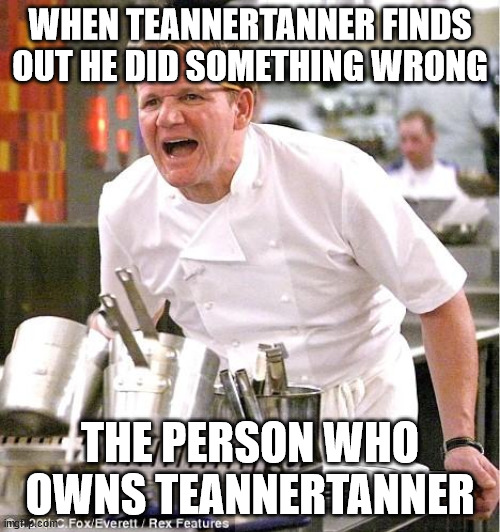 teannertanner in the comments | WHEN TEANNERTANNER FINDS OUT HE DID SOMETHING WRONG; THE PERSON WHO OWNS TEANNERTANNER | image tagged in memes,chef gordon ramsay | made w/ Imgflip meme maker