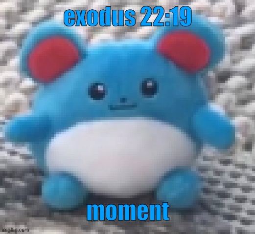 Marill 6 | exodus 22:19; moment | image tagged in marill 6 | made w/ Imgflip meme maker