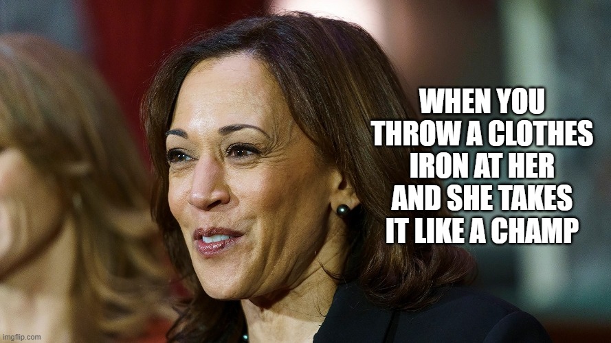 bullseye bro, now run! here come the secret service. <:-O | WHEN YOU THROW A CLOTHES IRON AT HER AND SHE TAKES IT LIKE A CHAMP | image tagged in politicians,washington dc,united states,stupid people,funny memes,women | made w/ Imgflip meme maker
