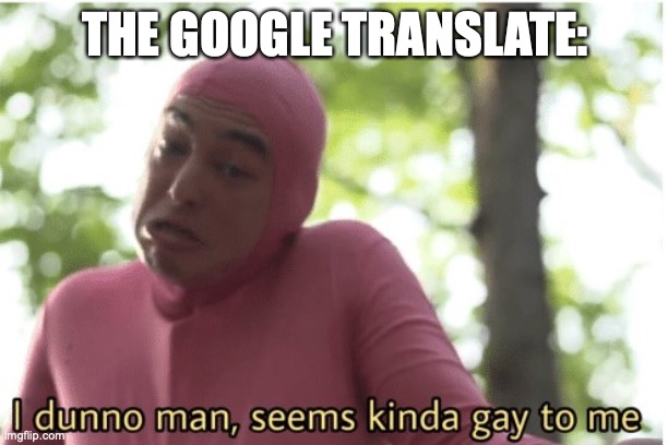 I dunno man seems kinda gay to me | THE GOOGLE TRANSLATE: | image tagged in i dunno man seems kinda gay to me | made w/ Imgflip meme maker