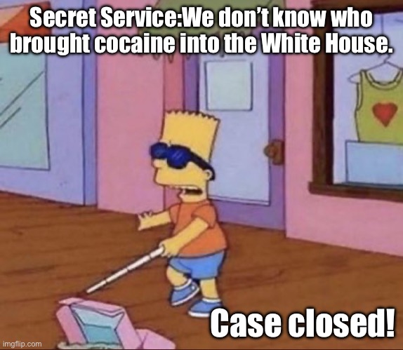 More corruption at the highest levels | Secret Service:We don’t know who brought cocaine into the White House. Case closed! | image tagged in blind bart simpson | made w/ Imgflip meme maker