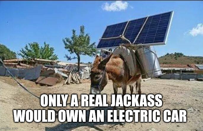 redneck electric car | ONLY A REAL JACKASS WOULD OWN AN ELECTRIC CAR | image tagged in redneck electric car | made w/ Imgflip meme maker