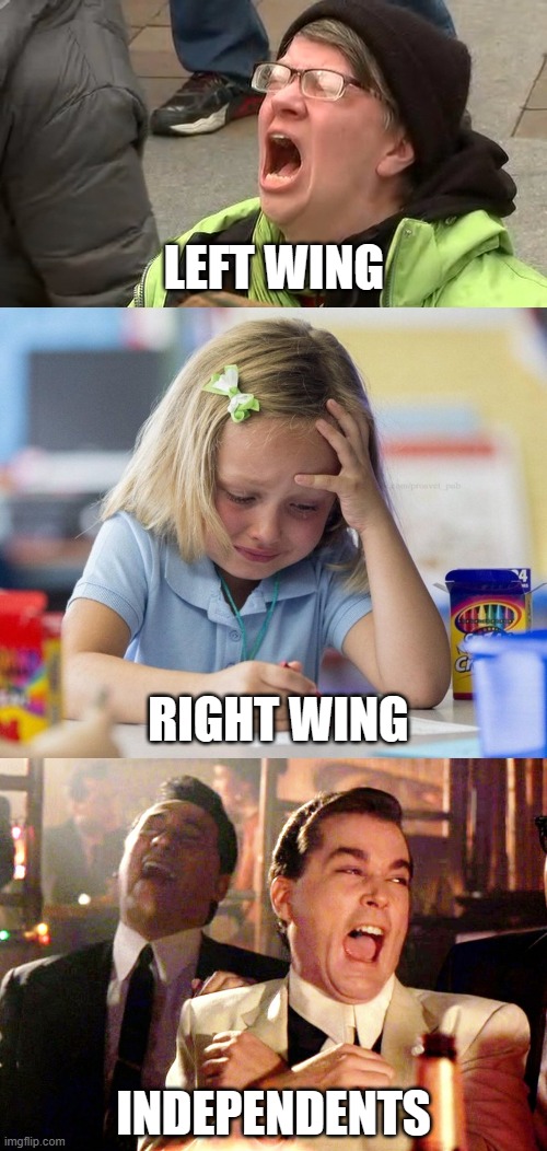 LEFT WING; RIGHT WING; INDEPENDENTS | image tagged in 'liberal' 'adults' scream at the sky,crying girl drawing,memes,good fellas hilarious | made w/ Imgflip meme maker