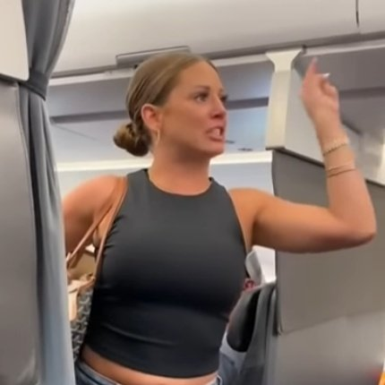 High Quality TMFINR lady on plane Blank Meme Template