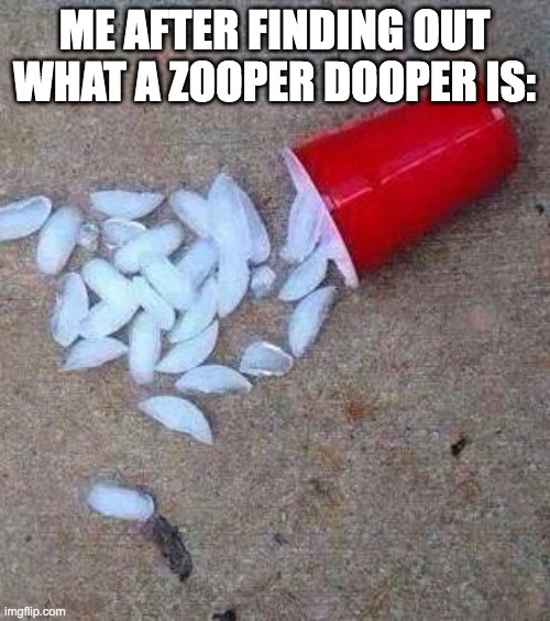 Icy roads school closed  | ME AFTER FINDING OUT WHAT A ZOOPER DOOPER IS: | image tagged in icy roads school closed | made w/ Imgflip meme maker