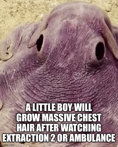 A LITTLE BOY WILL GROW MASSIVE CHEST HAIR AFTER WATCHING EXTRACTION 2 OR AMBULANCE | made w/ Imgflip meme maker