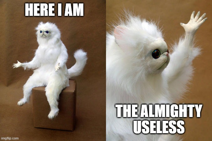 Persian Cat Room Guardian Meme | HERE I AM; THE ALMIGHTY USELESS | image tagged in memes,persian cat room guardian | made w/ Imgflip meme maker