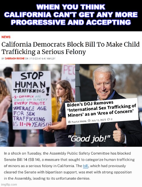 "The bill, which had previously cleared the Senate with bipartisan support" | WHEN YOU THINK CALIFORNIA CAN'T GET ANY MORE PROGRESSIVE AND ACCEPTING; "Good job!" | image tagged in politics,joe biden,news | made w/ Imgflip meme maker