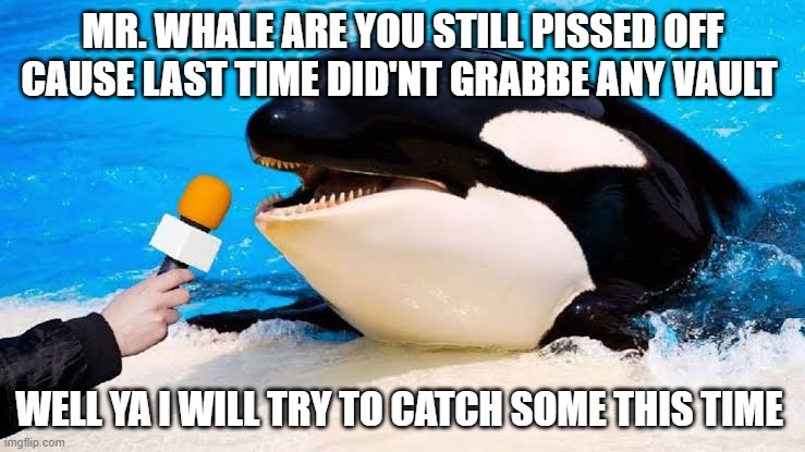 Orca talking into a microphone | MR. WHALE ARE YOU STILL PISSED OFF CAUSE LAST TIME DID'NT GRABBE ANY VAULT; WELL YA I WILL TRY TO CATCH SOME THIS TIME | image tagged in orca talking into a microphone | made w/ Imgflip meme maker