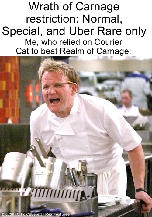 Good luck beating the stage now. | Wrath of Carnage restriction: Normal, Special, and Uber Rare only; Me, who relied on Courier Cat to beat Realm of Carnage: | image tagged in memes,chef gordon ramsay,battle cats | made w/ Imgflip meme maker
