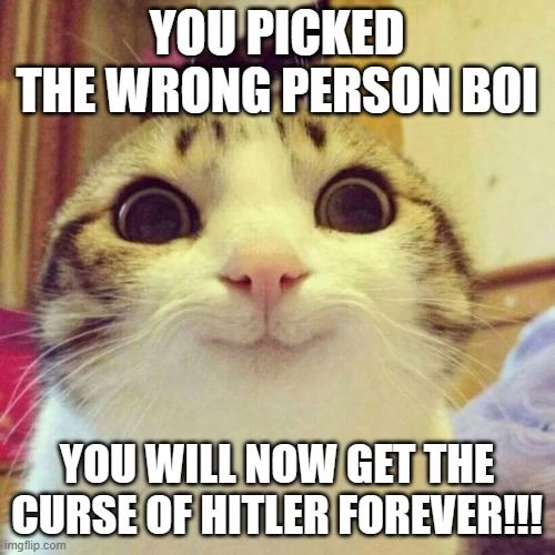 Smiling Cat Meme | YOU PICKED THE WRONG PERSON BOI YOU WILL NOW GET THE CURSE OF HITLER FOREVER!!! | image tagged in memes,smiling cat | made w/ Imgflip meme maker