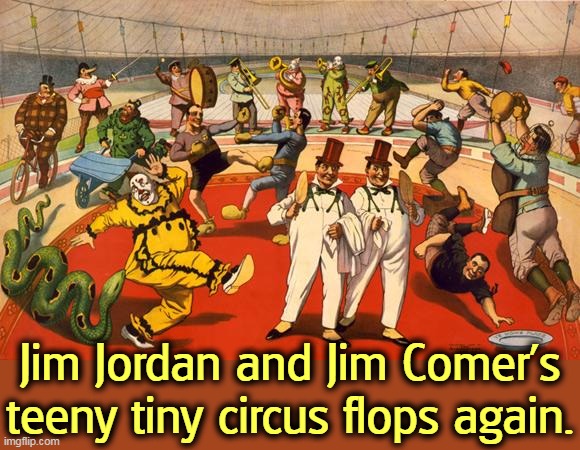 THE WHOLE "BIDEN IMPEACHMENT" IS ILLEGAL AND UNCONSTITUTIONAL WITHOUT A FLOOR VOTE OF THE ENTIRE HOUSE. They skipped that part. | Jim Jordan and Jim Comer's teeny tiny circus flops again. | image tagged in circus,republican,spanish inquisition,failure,losers | made w/ Imgflip meme maker