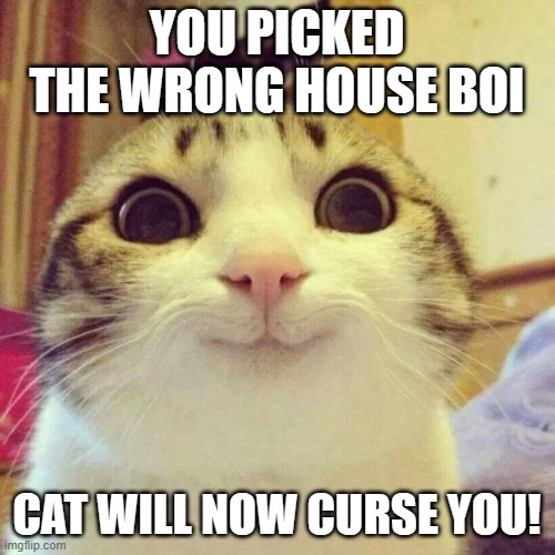 YOU PICKED THE WRONG HOUSE BOI CAT WILL NOW CURSE YOU! | image tagged in memes,smiling cat | made w/ Imgflip meme maker