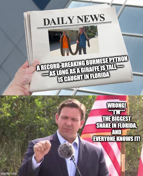 Fork-tongued Meatball Ron. | WRONG!
***I'M***
THE BIGGEST SNAKE IN FLORIDA, AND EVERYONE KNOWS IT! A RECORD-BREAKING BURMESE PYTHON
 — AS LONG AS A GIRAFFE IS TALL — 
IS CAUGHT IN FLORIDA | image tagged in slimy snake meatball ron | made w/ Imgflip meme maker