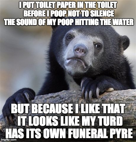 Confession Bear Meme | I PUT TOILET PAPER IN THE TOILET BEFORE I POOP NOT TO SILENCE THE SOUND OF MY POOP HITTING THE WATER BUT BECAUSE I LIKE THAT  IT LOOKS LIKE  | image tagged in memes,confession bear,AdviceAnimals | made w/ Imgflip meme maker