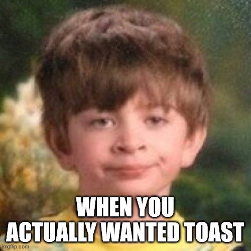 Annoyed face | WHEN YOU ACTUALLY WANTED TOAST | image tagged in annoyed face | made w/ Imgflip meme maker