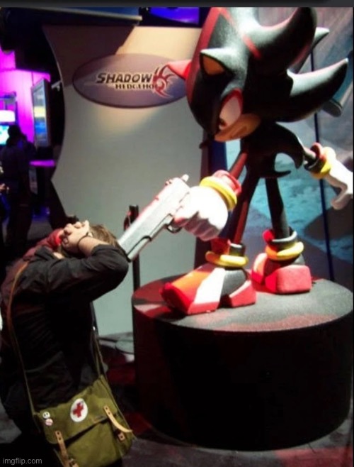 Shadow Pops a Cap into a Fan real | image tagged in shadow the hedgehog | made w/ Imgflip meme maker