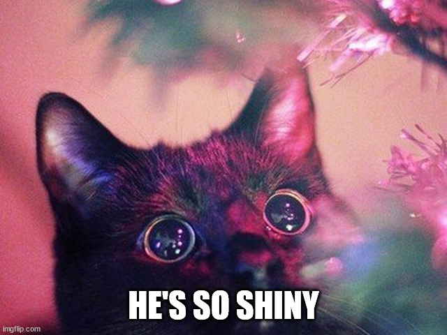 Its so shiny | HE'S SO SHINY | image tagged in its so shiny | made w/ Imgflip meme maker