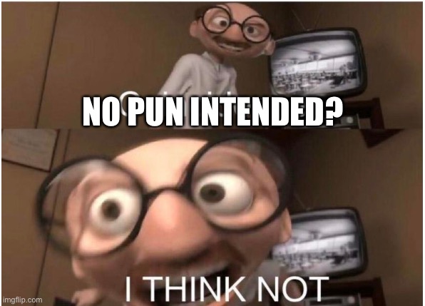 Coincidence, I THINK NOT | NO PUN INTENDED? | image tagged in coincidence i think not | made w/ Imgflip meme maker