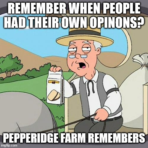 Pepperidge Farm Remembers Meme | REMEMBER WHEN PEOPLE HAD THEIR OWN OPINONS? PEPPERIDGE FARM REMEMBERS | image tagged in memes,pepperidge farm remembers | made w/ Imgflip meme maker
