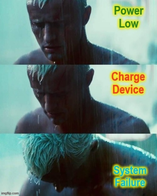 Death of Roy | image tagged in blade runner | made w/ Imgflip meme maker