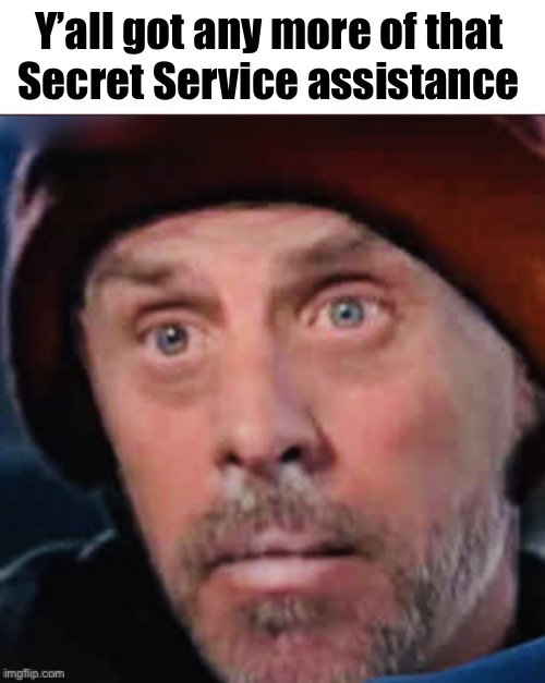 Y’all got any more of that 
Secret Service assistance | made w/ Imgflip meme maker