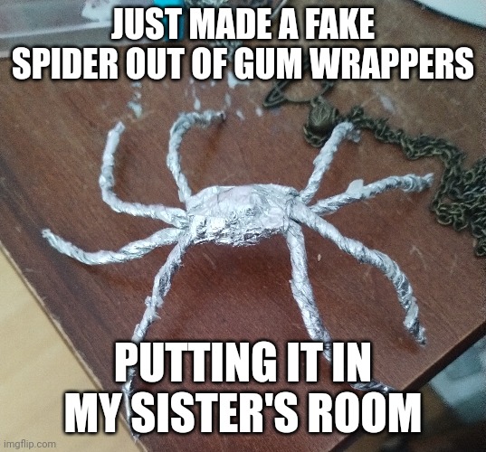?️‍? | JUST MADE A FAKE SPIDER OUT OF GUM WRAPPERS; PUTTING IT IN MY SISTER'S ROOM | image tagged in spider,help me | made w/ Imgflip meme maker
