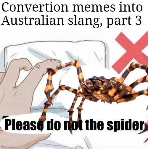 don’t effin touch that he’ll kill yah! | Convertion memes into Australian slang, part 3; Please do not the spider | image tagged in please do not the cat,australia | made w/ Imgflip meme maker