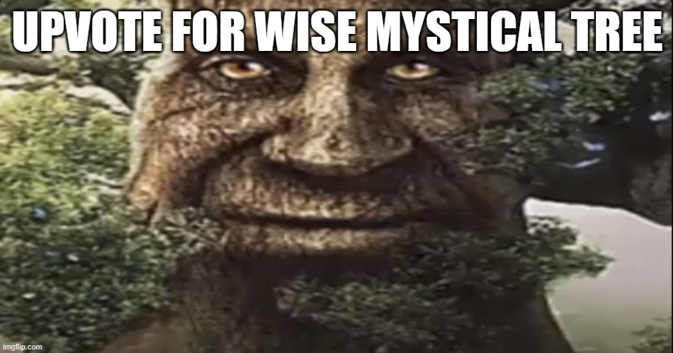 He is the all knowing | UPVOTE FOR WISE MYSTICAL TREE | image tagged in wise mystical tree | made w/ Imgflip meme maker