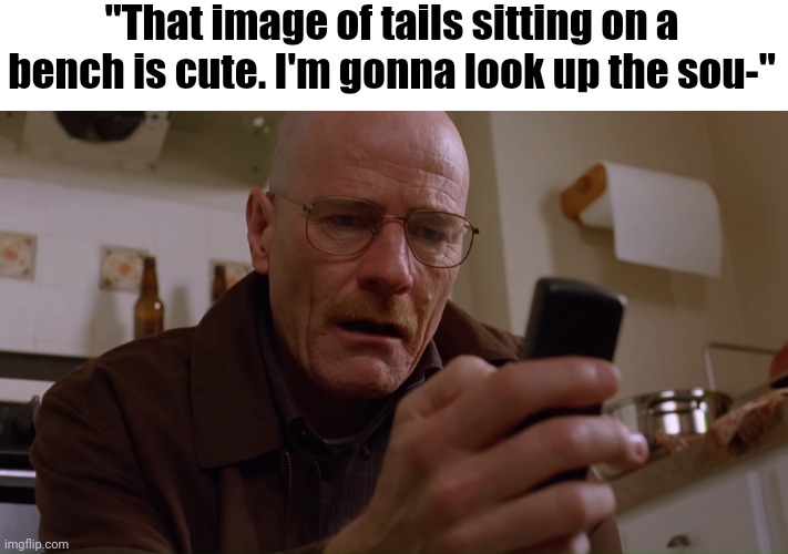 Based on a true story | "That image of tails sitting on a bench is cute. I'm gonna look up the sou-" | image tagged in walter white on his phone | made w/ Imgflip meme maker