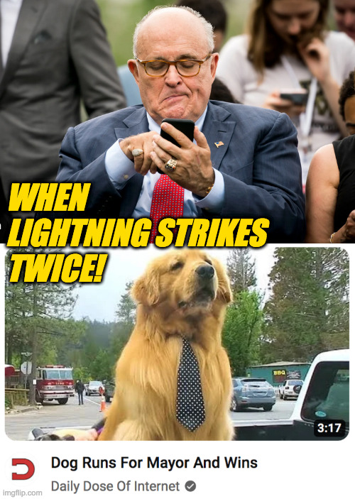 It's funny at first, but later there are consequences. | WHEN
LIGHTNING STRIKES
TWICE! | image tagged in memes,rudy giuliani,dog | made w/ Imgflip meme maker