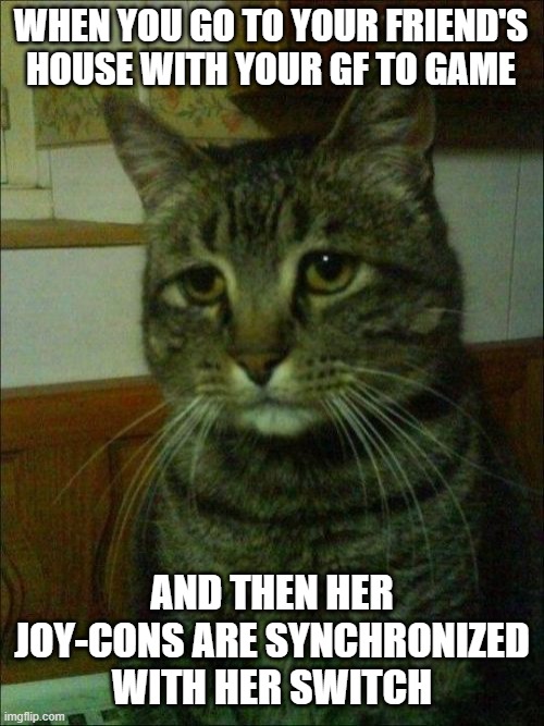 Realization moment | WHEN YOU GO TO YOUR FRIEND'S HOUSE WITH YOUR GF TO GAME; AND THEN HER JOY-CONS ARE SYNCHRONIZED WITH HER SWITCH | image tagged in memes,depressed cat | made w/ Imgflip meme maker