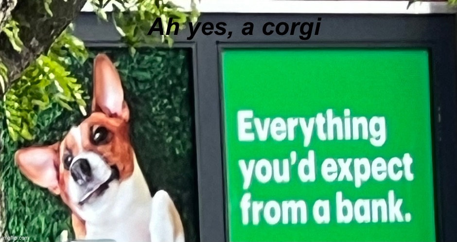 You had one job and they made it relatable | Ah yes, a corgi | image tagged in corgi,dogs,dog | made w/ Imgflip meme maker