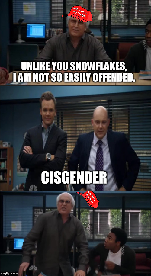 MAGA Snowflake | UNLIKE YOU SNOWFLAKES, I AM NOT SO EASILY OFFENDED. CISGENDER | image tagged in maga snowflake | made w/ Imgflip meme maker