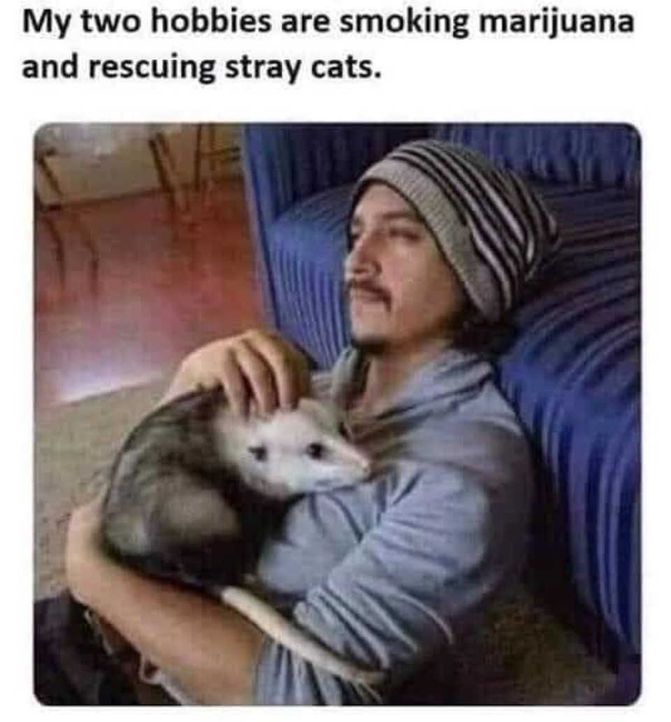 Stoners be like... | image tagged in stoners,be like,reality check,special kind of stupid,stupid people be like,marijuana | made w/ Imgflip meme maker