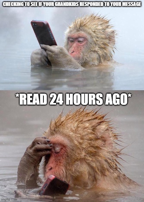 Grandma Issues | CHECKING TO SEE IF YOUR GRANDKIDS RESPONDED TO YOUR MESSAGE; *READ 24 HOURS AGO* | image tagged in monkey facepalm | made w/ Imgflip meme maker