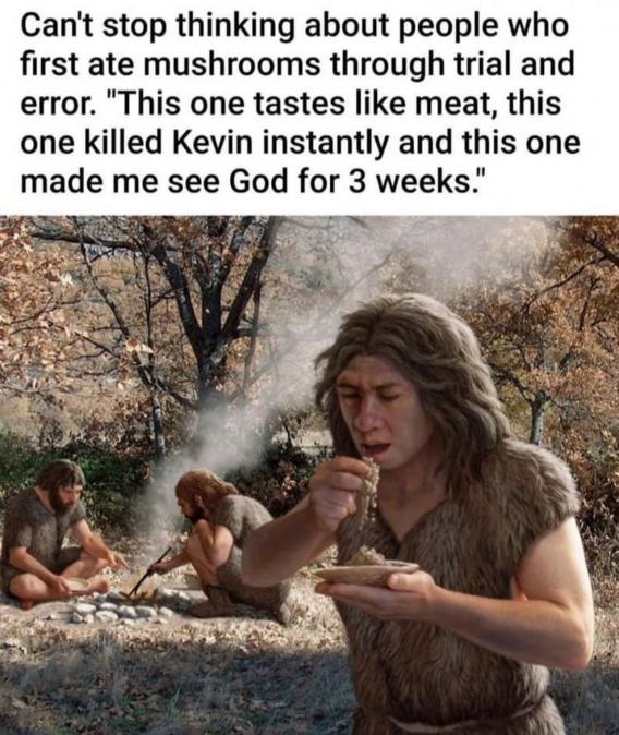 About those mushrooms... | image tagged in mushrooms,magic mushrooms,shrooms | made w/ Imgflip meme maker