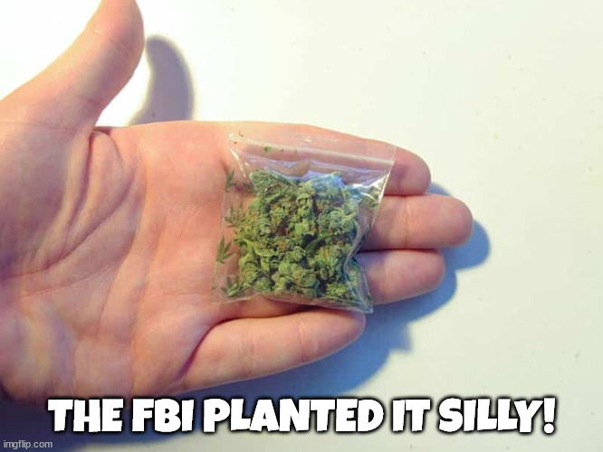 White House Weed | THE FBI PLANTED IT SILLY! | image tagged in weed,white house,marijana,bag,fbi,stach | made w/ Imgflip meme maker
